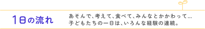 1日の流れ