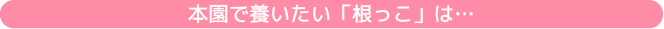 本園で養いたい「根っこ」は…
